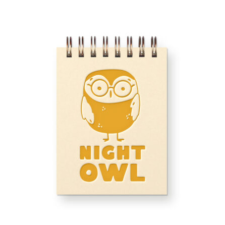 Night Owl Mini Jotter